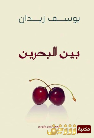 كتاب  بين البحرين للمؤلف يوسف زيدان